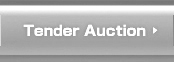 Tender Auction